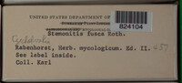 Stemonitis fusca image